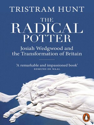cover image of The Radical Potter